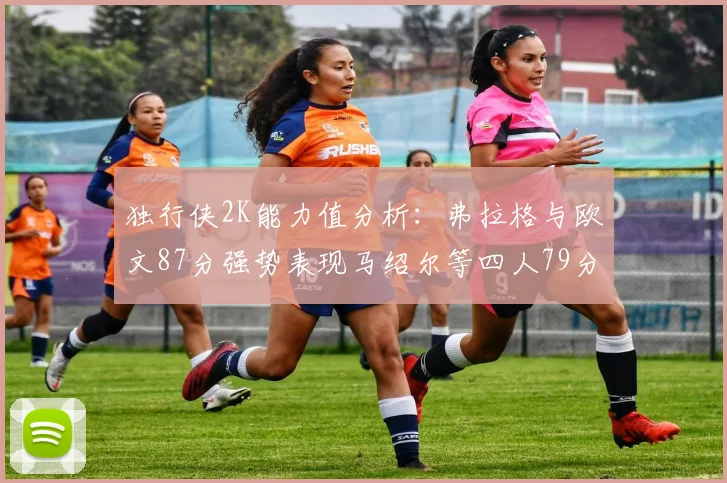 独行侠2K能力值分析：弗拉格与欧文87分强势表现马绍尔等四人79分展现潜力