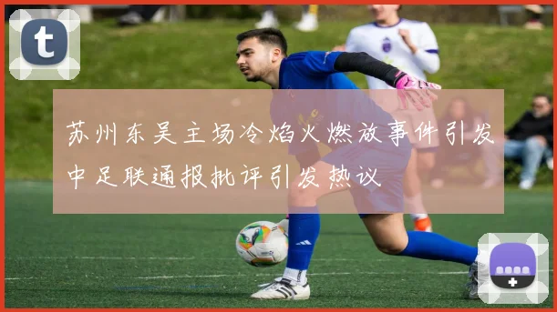 苏州东吴主场冷焰火燃放事件引发中足联通报批评引发热议