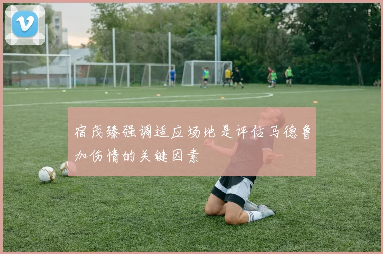 宿茂臻强调适应场地是评估马德鲁加伤情的关键因素