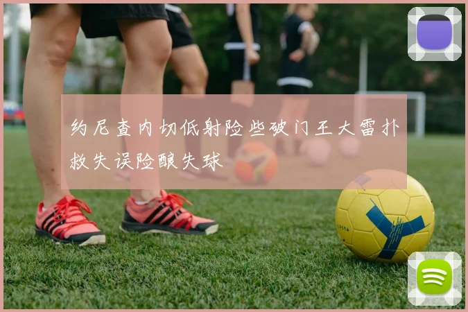 约尼查内切低射险些破门王大雷扑救失误险酿失球